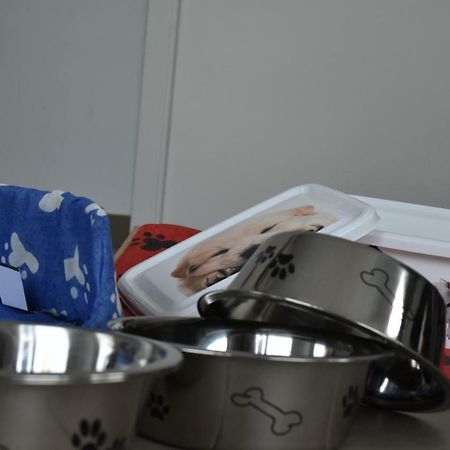 Apartamento Barbancho Casar de Cáceres Zewnętrze zdjęcie